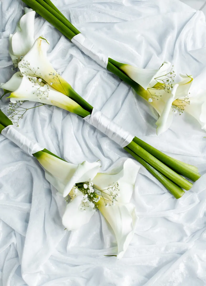Damas de Honra